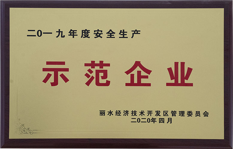2019年度安全生产示范企业